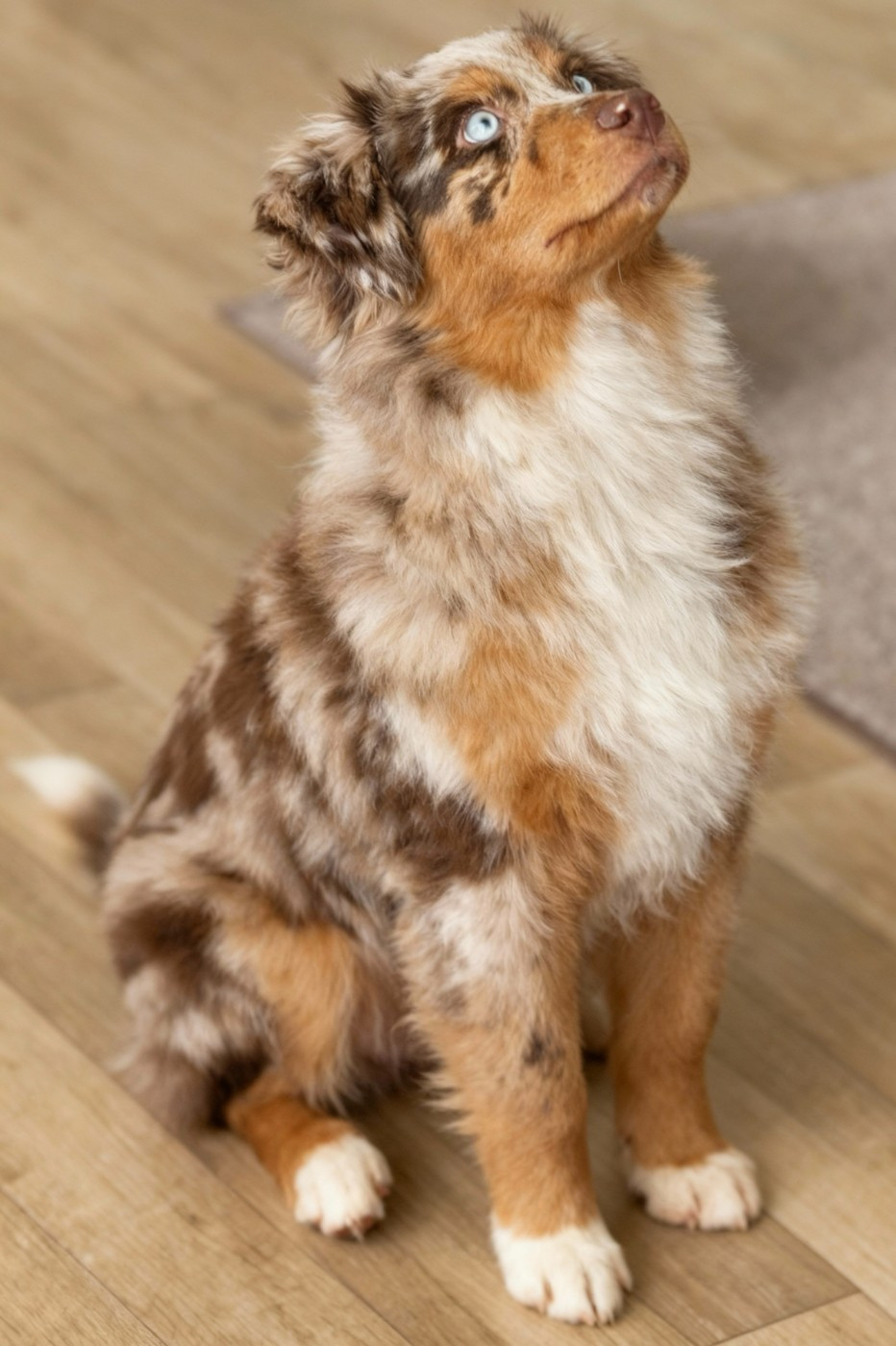 Vida loca victoire by lucky (Sans Affixe)