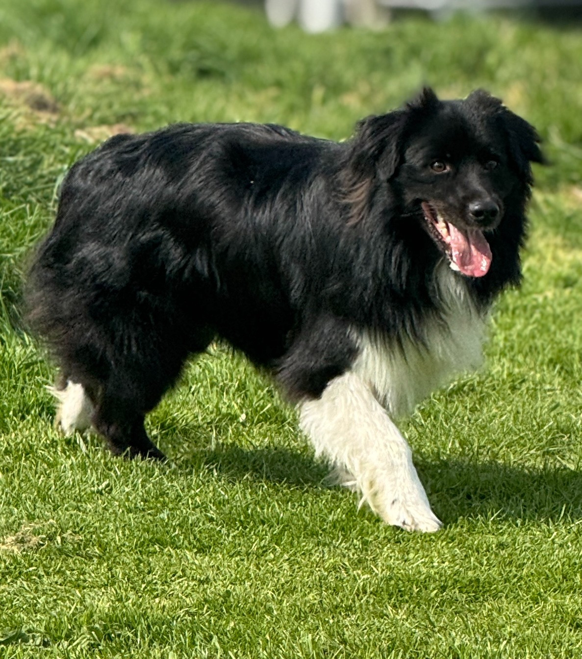 We don't Talk About Bruno Ukko des Jardins de Persephone